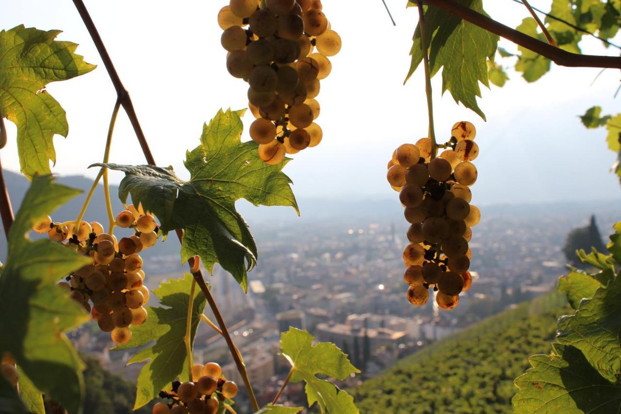 Weingut Eberlehof Apartment Bolzano Exterior photo