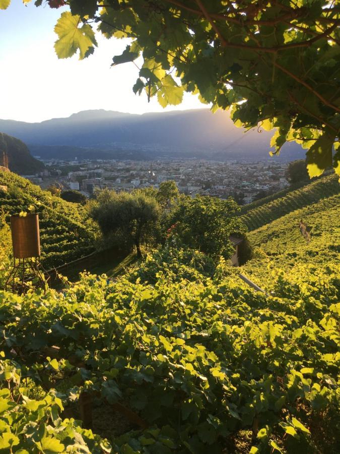 Weingut Eberlehof Apartment Bolzano Exterior photo